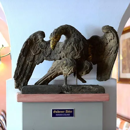 Goldener Adler